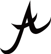 ALOHA SURF BOARD